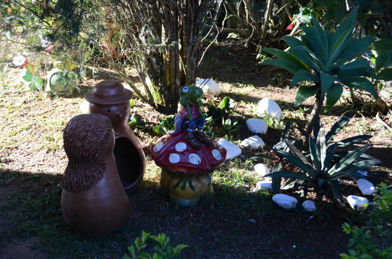 Casa Em Penedo Villa Penedo  Eksteriør billede